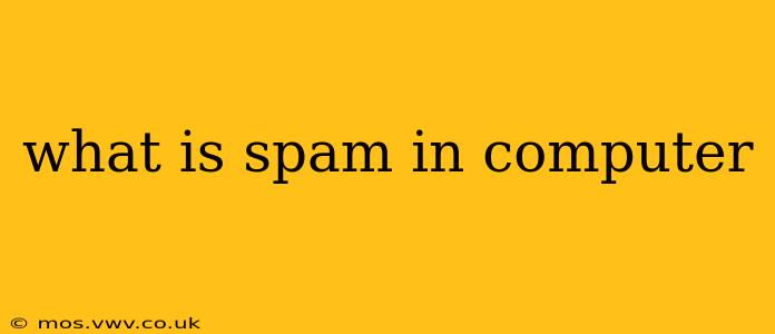 what is spam in computer