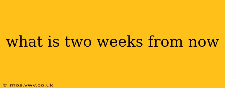 what is two weeks from now