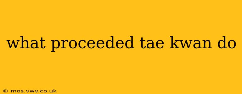 what proceeded tae kwan do