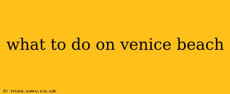 what to do on venice beach