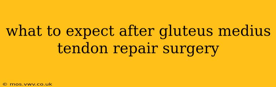 what to expect after gluteus medius tendon repair surgery