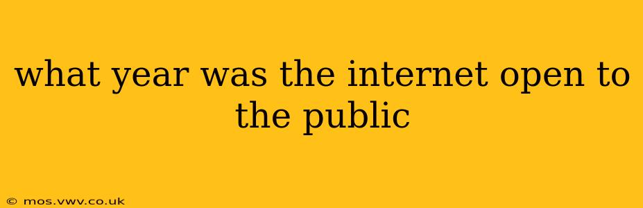what year was the internet open to the public