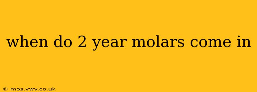 when do 2 year molars come in