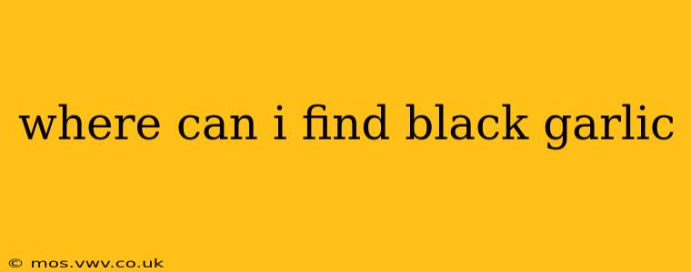 where can i find black garlic