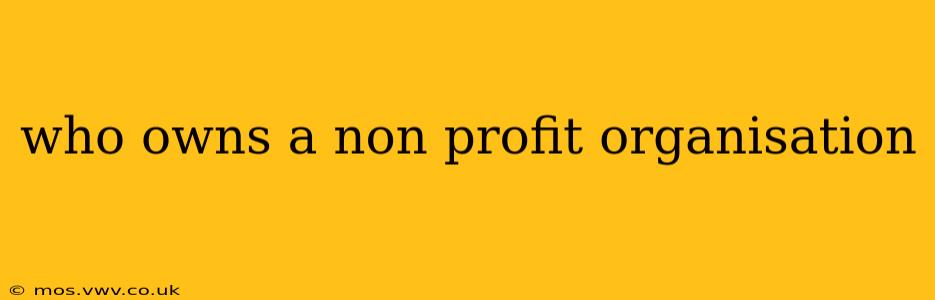 who owns a non profit organisation