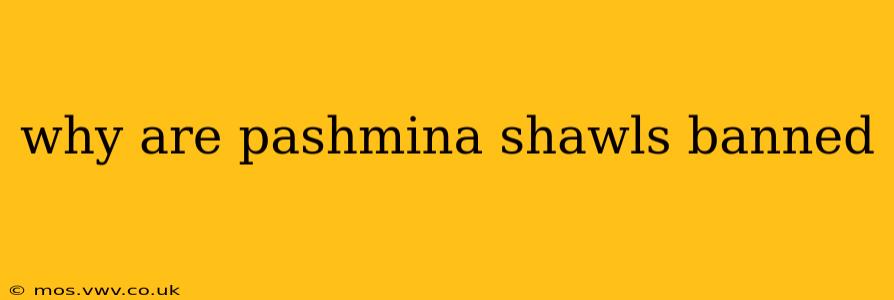 why are pashmina shawls banned