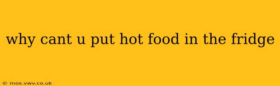 why cant u put hot food in the fridge