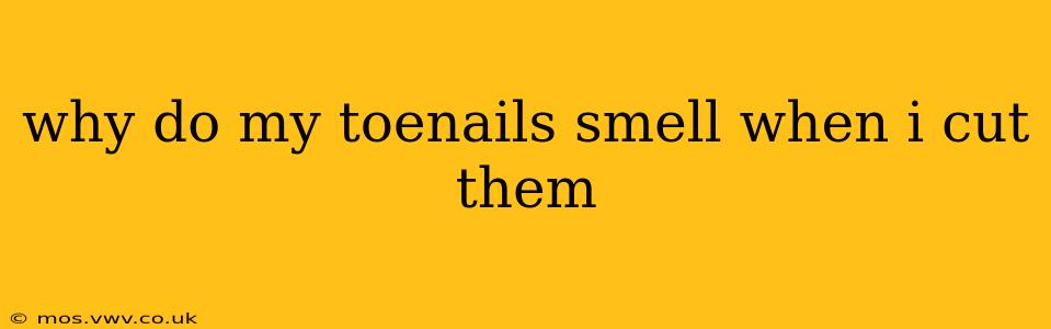 why do my toenails smell when i cut them