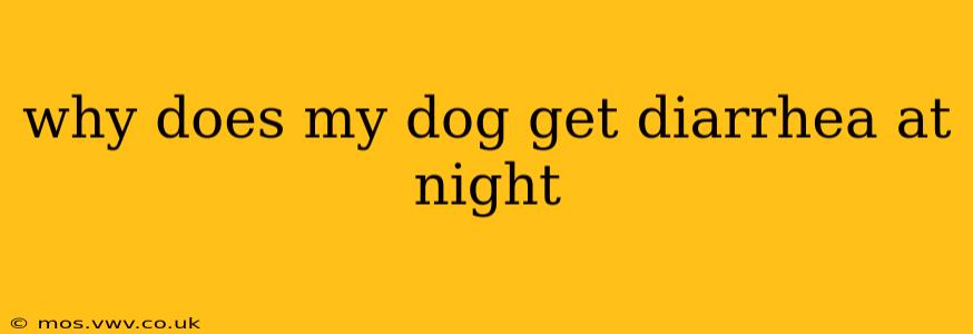 why does my dog get diarrhea at night