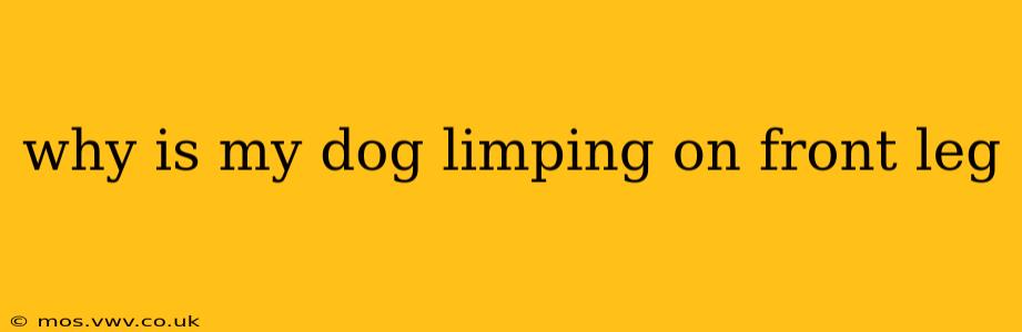why is my dog limping on front leg