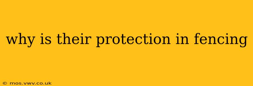 why is their protection in fencing