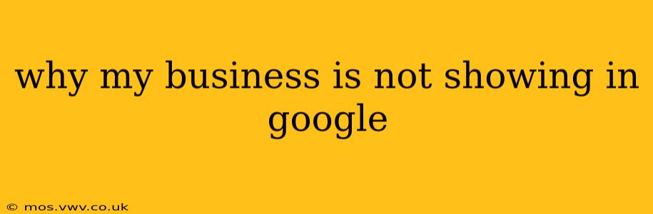 why my business is not showing in google