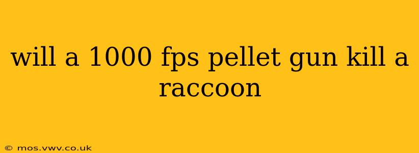 will a 1000 fps pellet gun kill a raccoon
