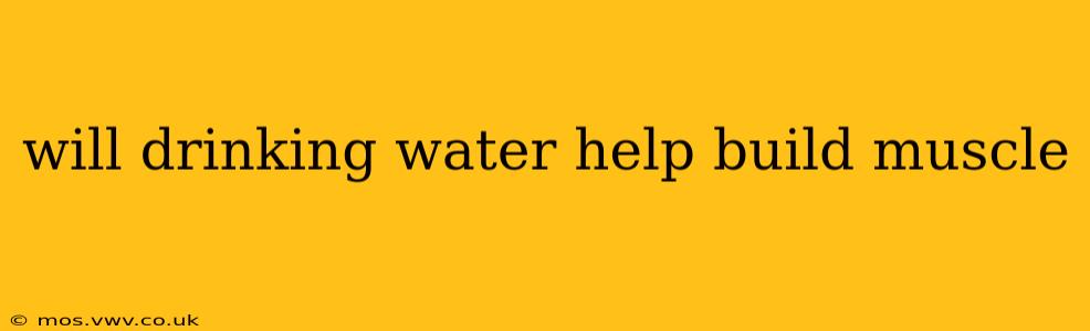 will drinking water help build muscle