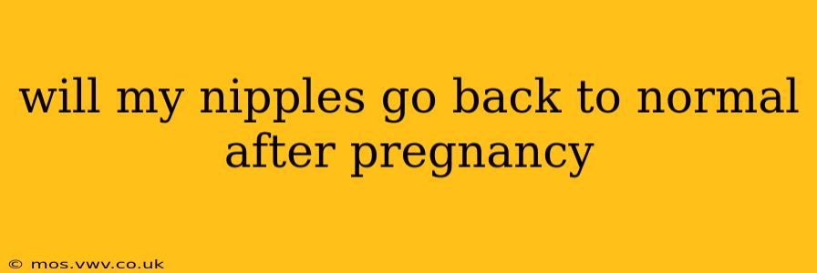 will my nipples go back to normal after pregnancy