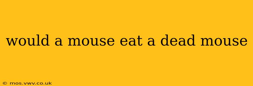 would a mouse eat a dead mouse