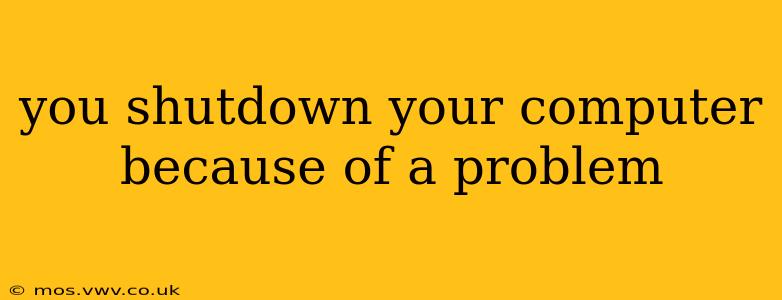 you shutdown your computer because of a problem